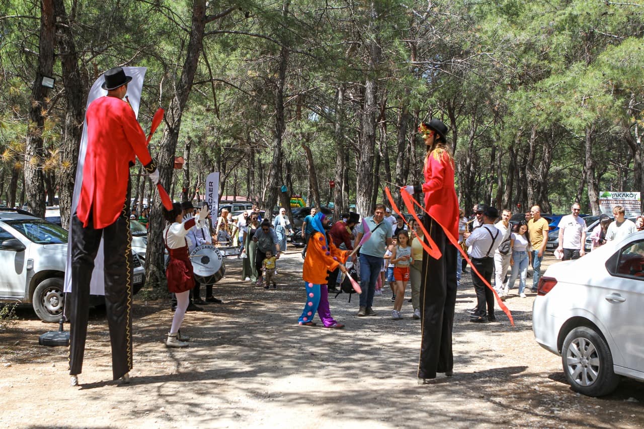 Piknik Organizasyonu