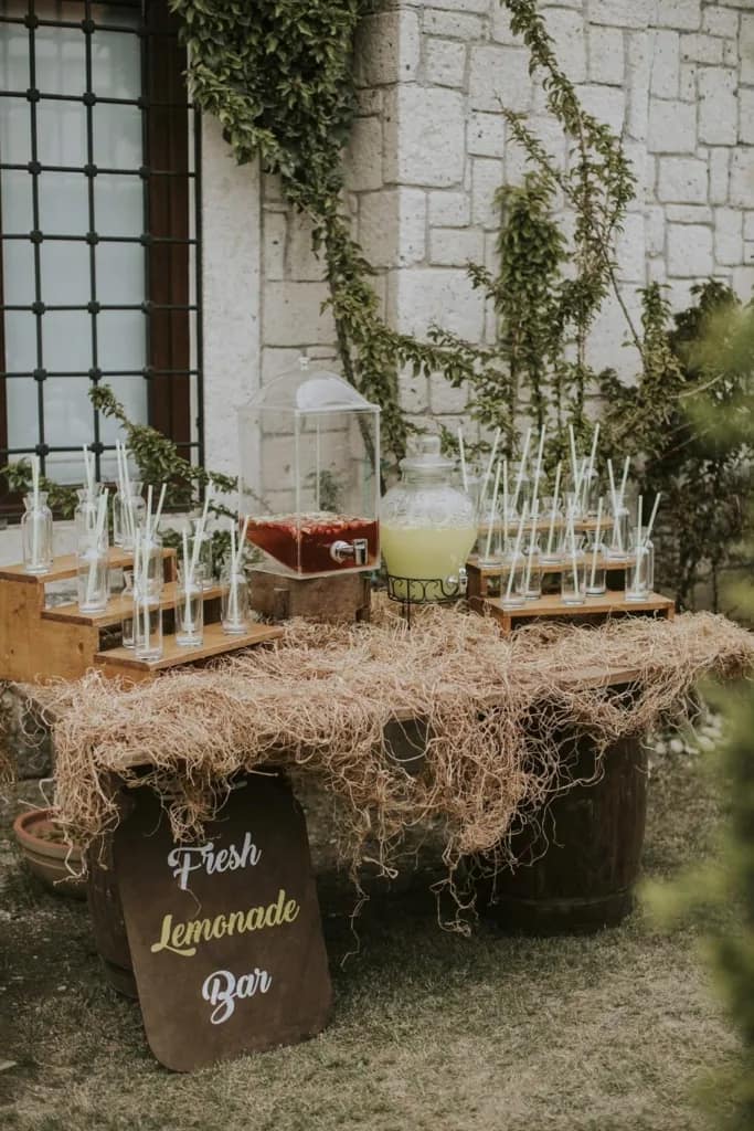 limonata-bar-kokteyl-organizasyonu-izmir-catering-bodrum-catering-alacati-catering-sunumlari-dekor-susleme-ahsap-konsept