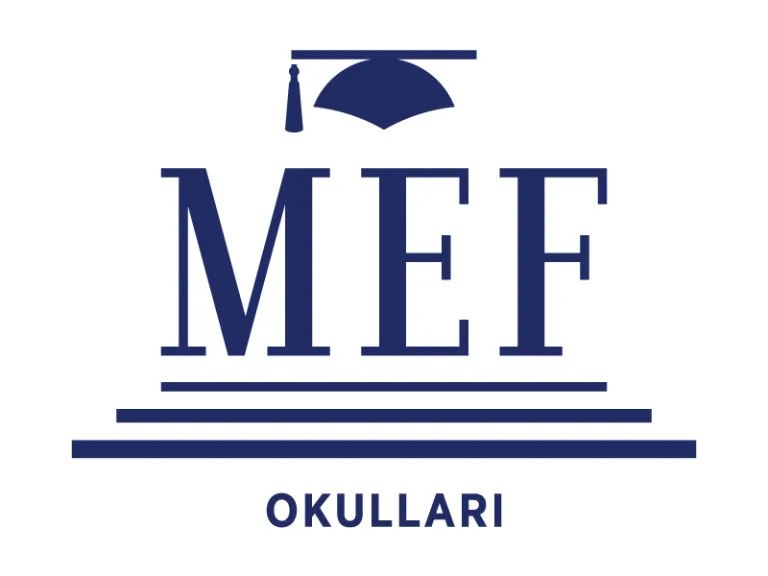 mef web 768x576